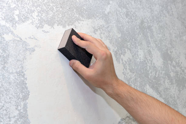 Best HVAC Mold Inspection and Cleaning  in Elmore, OH