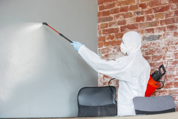 Best Emergency Mold Remediation  in Elmore, OH