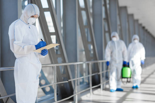 Reliable Elmore, OH Mold Removal Solutions
