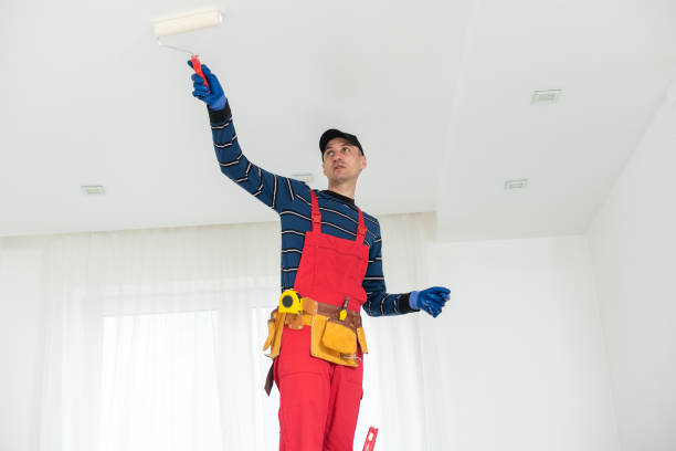 Best Comprehensive Air Testing for Mold Contaminants  in Elmore, OH