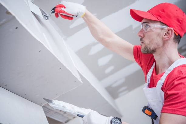 Best Environmental Consulting for Mold Prevention  in Elmore, OH