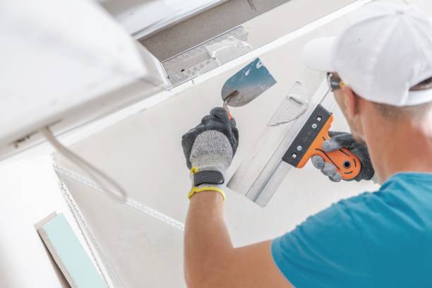 Best Mold Prevention Services  in Elmore, OH